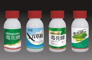 自制杀跳甲虫药 不用农药怎样杀跳甲虫