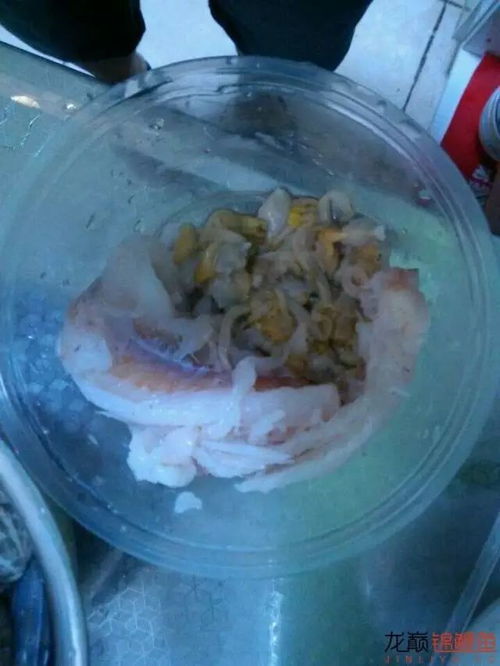 自制鱼粮配方 自制鱼粮怎么弄成颗粒