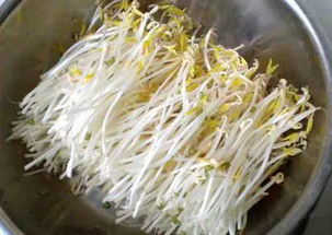 自己在家怎么发黄豆芽 怎么发黄豆芽又粗又嫩