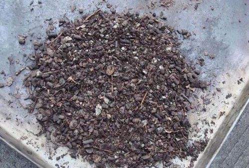 自制腐殖土的方法 腐殖土生产配方大全