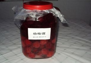 自制杨梅酒几天可以喝 三种人不宜喝杨梅酒