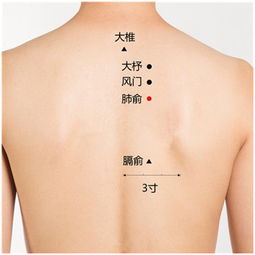 艾灸的副作用就是体重下降 怎么感觉体重下降了