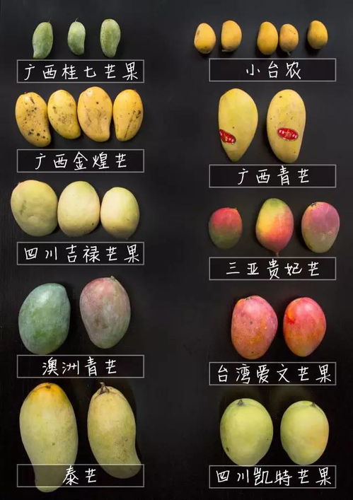 芒果品种排名 中国十大芒果排名
