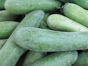 节瓜不能和什么一起吃 节瓜与什么相克