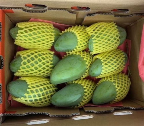 芒果夏天怎么储藏 夏季怎样储存芒果最好