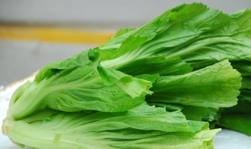 芥菜一定要用开水焯过才能吃吗 芥菜三种人不能吃