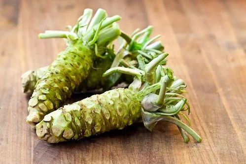 芥末是什么植物提炼出来的 山葵和芥末有什么区别