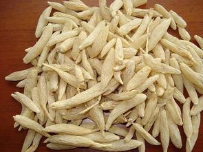 芦根的十大功效 芦根的最佳配对