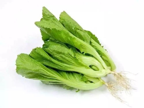 芥菜为啥尽量少吃 吃芥菜丝有什么坏处