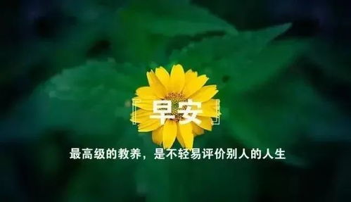 花与人生感悟 花与生活的唯美句子