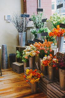 花店鲜花从哪里进货 花怎么进货