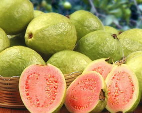 芭乐果的功效和禁忌 吃芭乐的十大禁忌