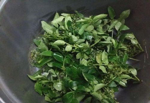 花椒叶的吃法 炸花椒叶的正确做法