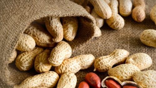 花生的十大好处 女人吃花生的6大好处