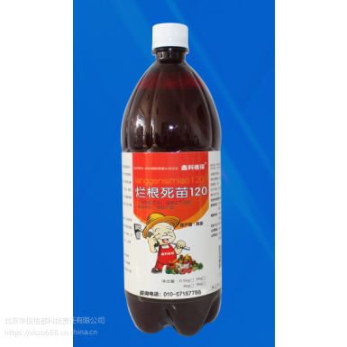 花生根腐病特效药 专治死苗烂根的特效药