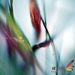 花的文艺叫法 花的诗意别名