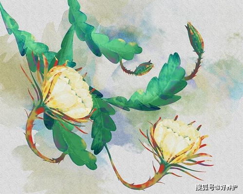花的古代雅称 一个字 花的高级替代词