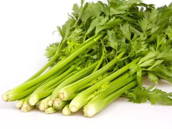 芹菜相克大全表 芹菜有6个禁忌