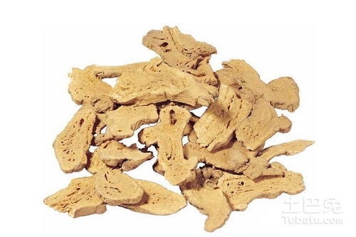 苍术和白术的区别 湿气很重用苍术还是白术
