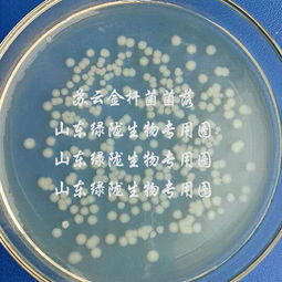 苏云金杆菌兑水比例 8000的苏云金杆菌使用浓度