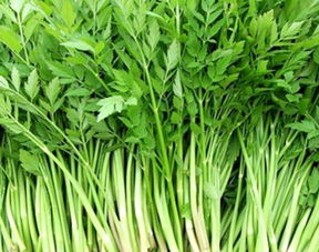 芹菜用什么肥料长得快 芹菜最忌讳的肥料