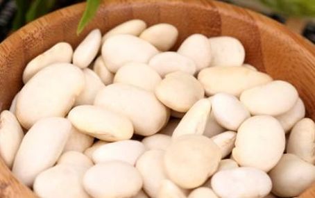 芸豆别名叫什么 白芸豆别名叫什么
