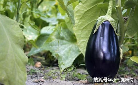 茄子是上火还是降火的 为什么吃茄子会上火