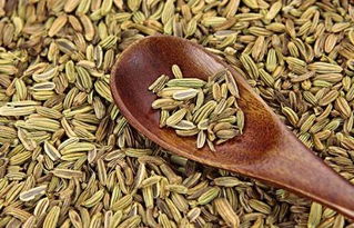 茴香种子浸泡多长时间 茴香籽泡水正确方法