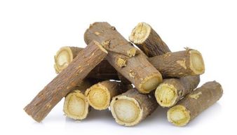 茯苓养胃还是伤胃 茯苓对胃作用与功效
