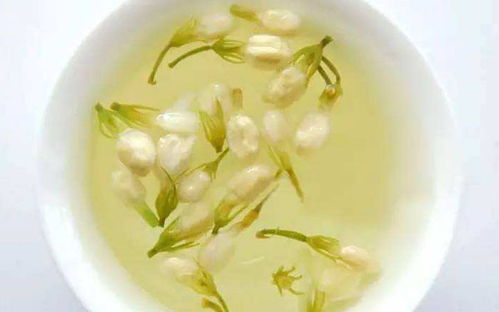 茉莉花茶孕妇可以喝吗 孕妇可以喝什么泡的水