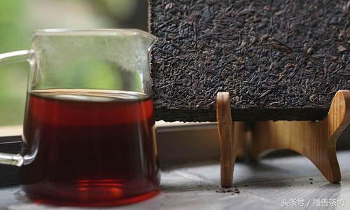 茶叶最多能存放几年 放了十年的茶叶还能喝吗