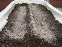 草木灰的12种用途 草木灰十大禁忌