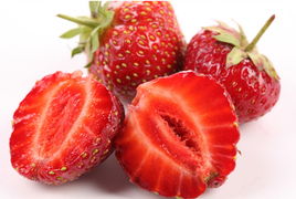 草莓的整个生长过程简介 草莓各个生长阶段图