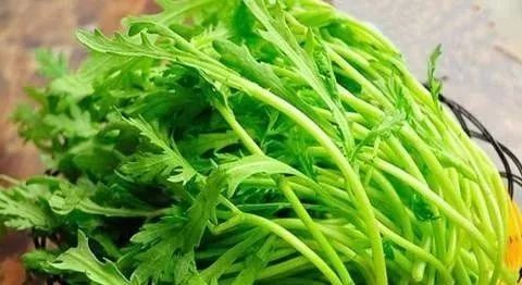 茼蒿禁忌和最佳搭配 茼蒿忌讳什么一起吃