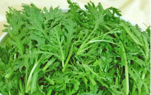 茼蒿治什么病最好 吃茼蒿的好处和坏处