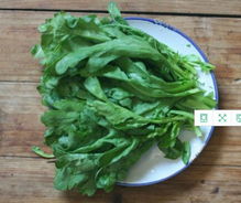 茼蒿的最佳吃法 茼蒿菜的8种最佳吃法