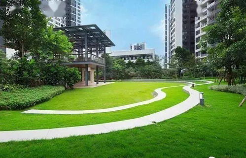 草坪修剪方法及技术要点 草坪修剪完马上浇水吗