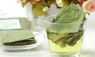 荷叶会拉肚子吗 为什么喝荷叶茶拉稀