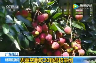 荔枝吃多少会死人 吃荔枝死亡事件汇总