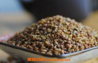 荞麦是苦荞麦吗 荞麦和苦荞麦图片
