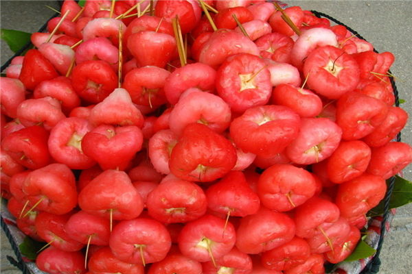 莲雾为什么难吃还贵 莲雾为什么叫痔疮果