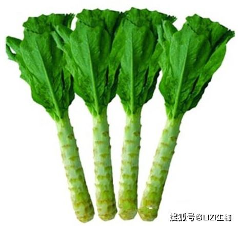 莴笋莴苣是一样吗 为什么说莴笋是瞎眼菜