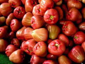 莲雾吃了有什么好处 莲雾的副作用太大了