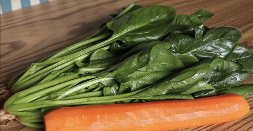 菠菜治什么病最快 菠菜几天吃一次最好