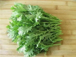 菊花菜的作用和功效 菊花菜什么人不能吃