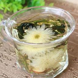 菊花金银花哪个更去火 金银花主要清哪里的火
