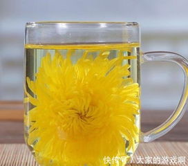 菊花泡水喝的正确方法 菊花的副作用太大了