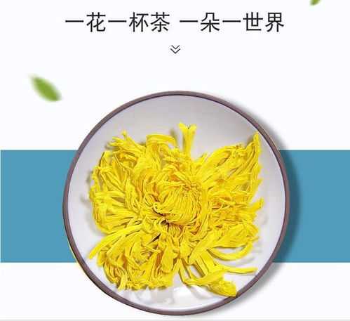菊花茶哪种菊花最好 不同品种菊花茶功效