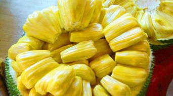 菠萝属于寒性还是热性 木菠萝上火还是降火