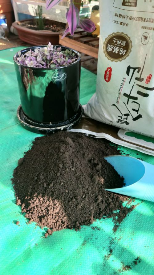 营养土正确使用方法 买的营养土还用掺土吗